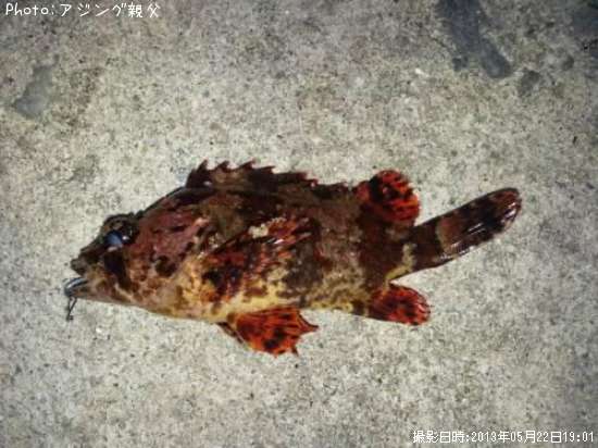 �������Х�