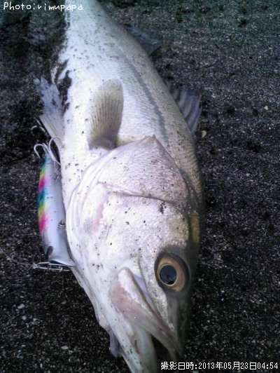 �����Х�