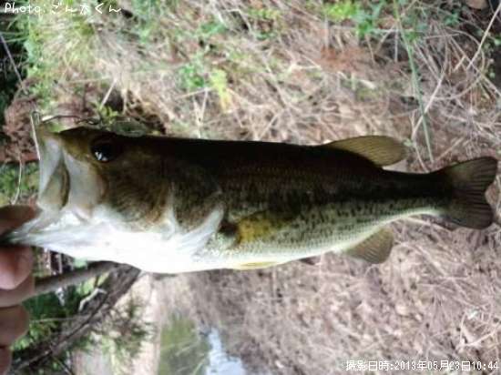 �֥�å��Х�