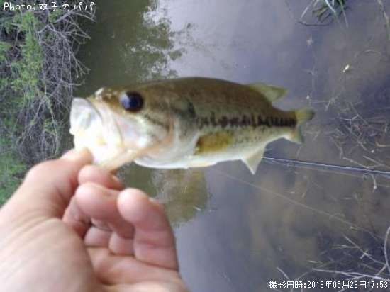 �֥�å��Х�