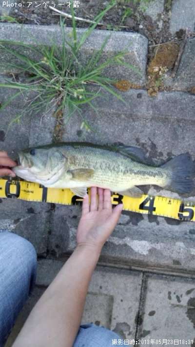 �֥�å��Х�