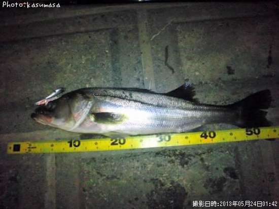 �����Х�