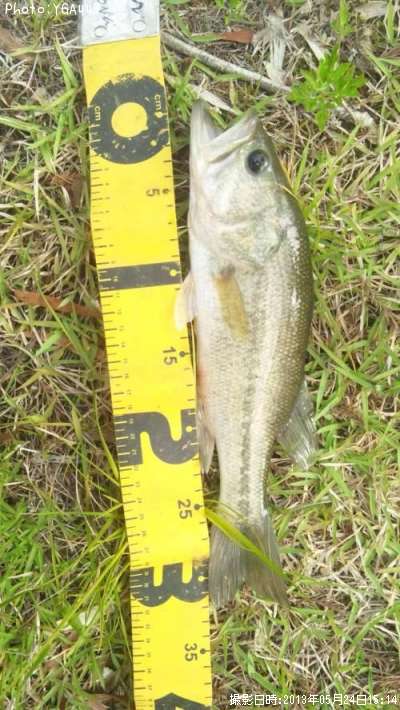 �֥�å��Х�