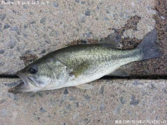 �֥�å��Х�