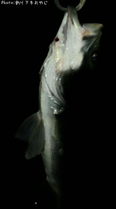 �����Х�