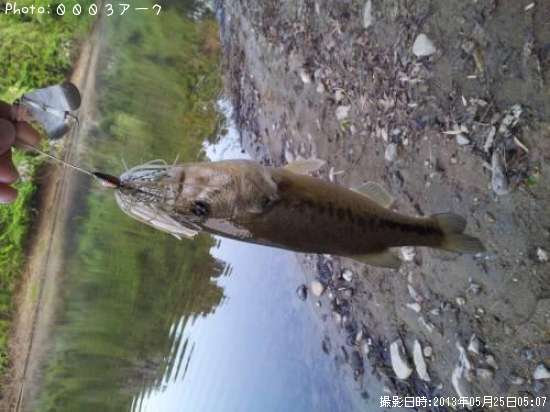 �֥�å��Х�