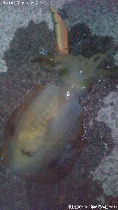 �����ꥤ��