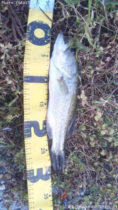 �֥�å��Х�