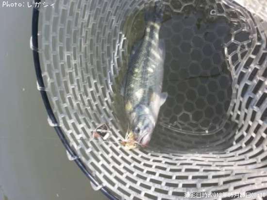 �֥�å��Х�