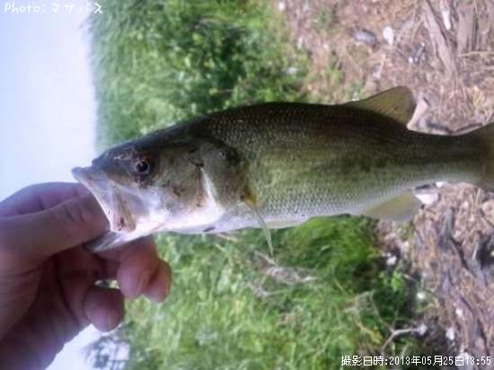 �֥�å��Х�