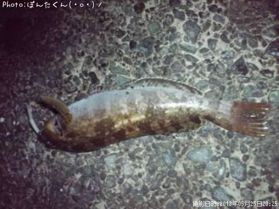 �����ʥ�