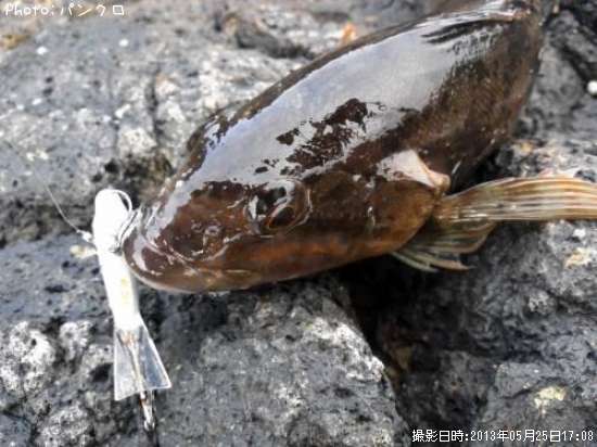 �����ʥ�