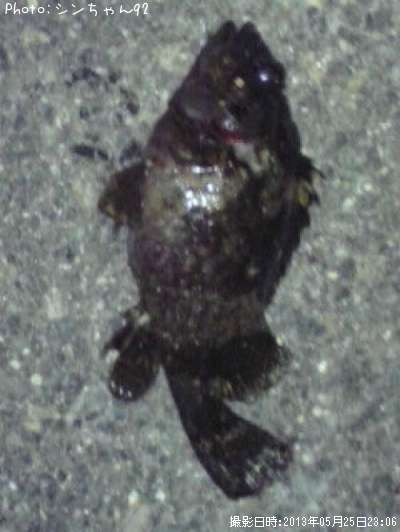 �����Υ���Х�