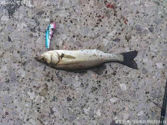 �����Х�