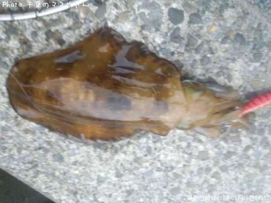 �����ꥤ��