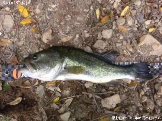 �֥�å��Х�