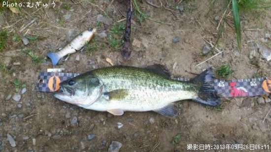 �֥�å��Х�