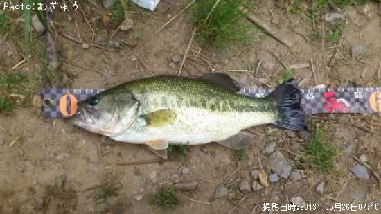 �֥�å��Х�