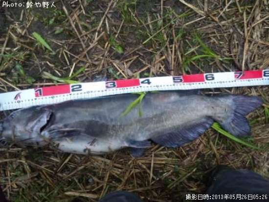 ����åȥե��å���