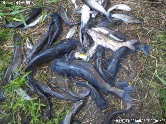 ����åȥե��å���