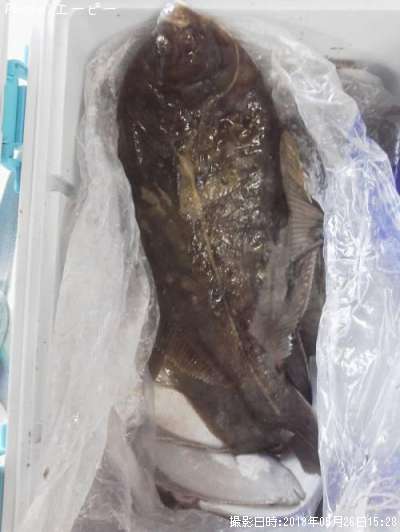 �ޥ����쥤