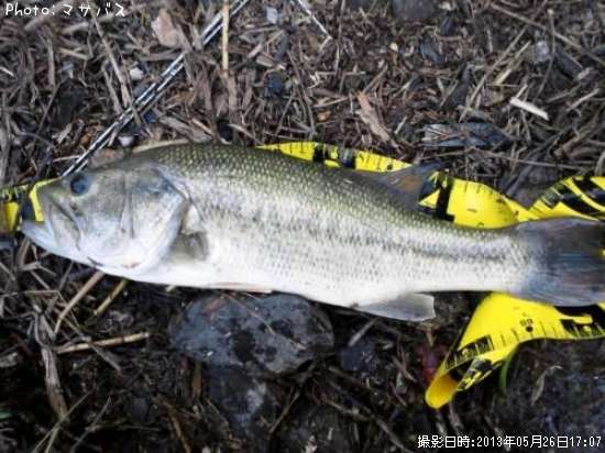 �֥�å��Х�