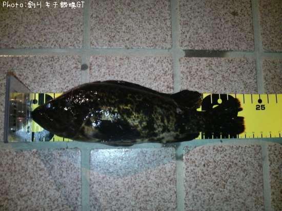 �����Υ���Х�