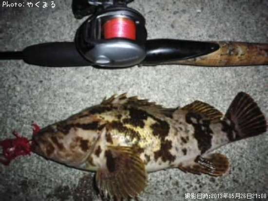 �٥å�������