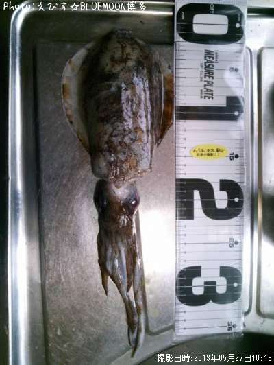 �����ꥤ��