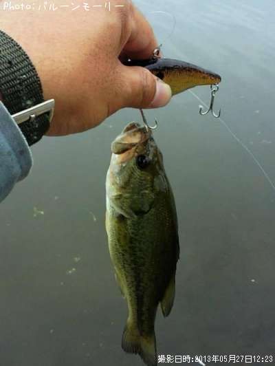 �֥�å��Х�