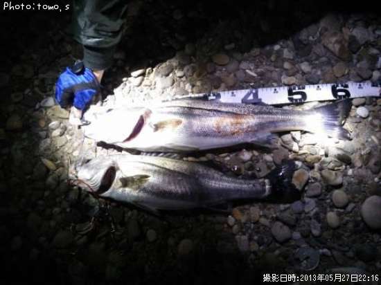 �����Х��ʥեå���