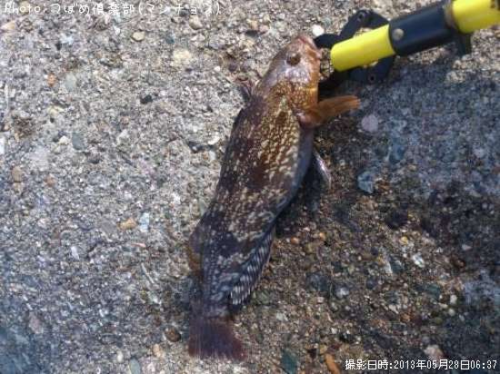 �����ʥ�