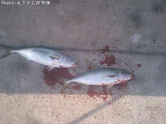 �䥺