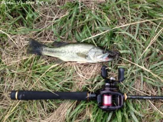 �֥�å��Х�