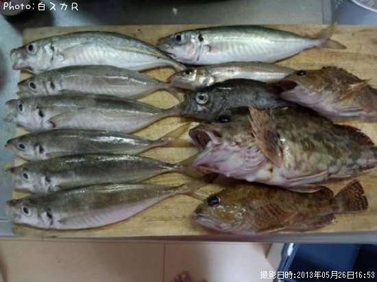 �������������Ȥ�