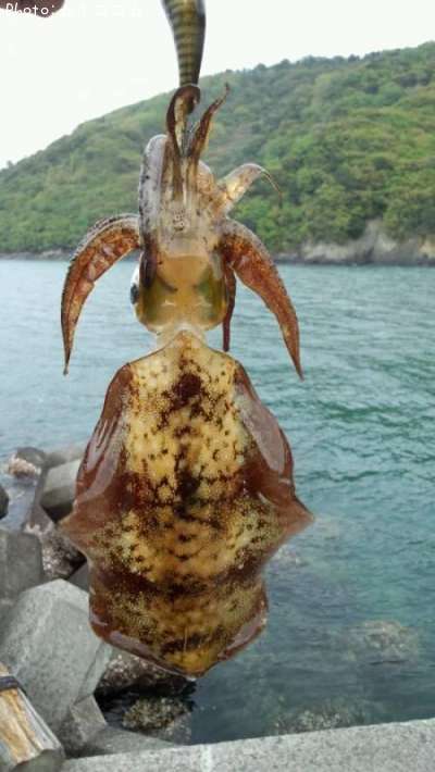 �����ꥤ��