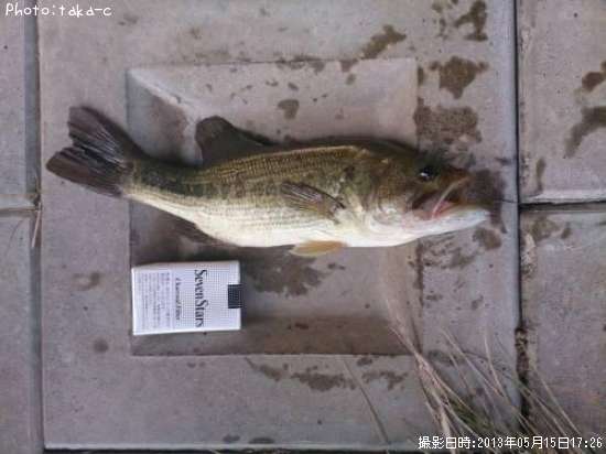 �֥�å��Х�