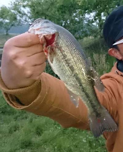 �֥�å��Х�