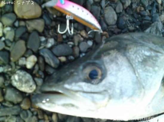 �����Х�