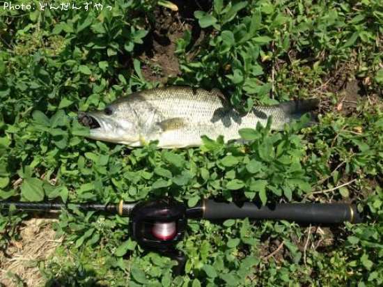 �֥�å��Х�