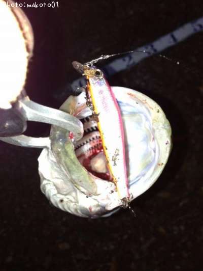 �����Х�