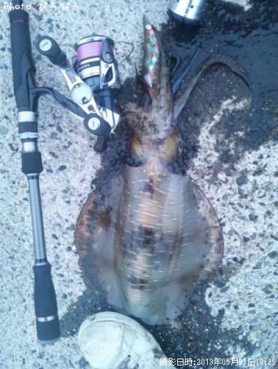 �����ꥤ��