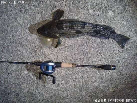 �����ʥ�