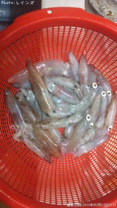 �ҥ�������ꥤ��