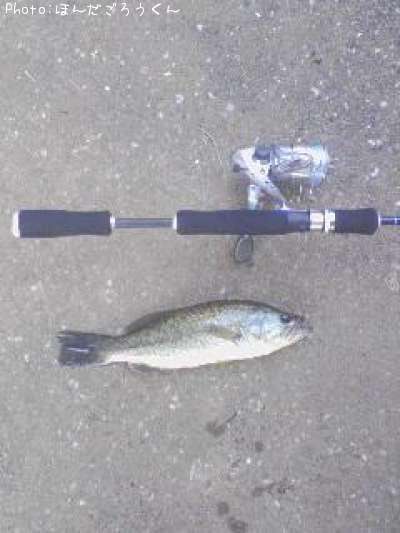 �֥�å��Х�