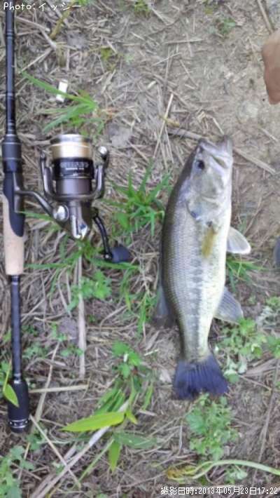 �֥�å��Х�