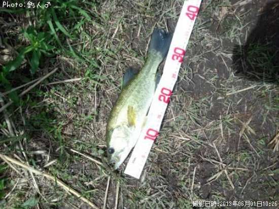 �顼���ޥ����Х�