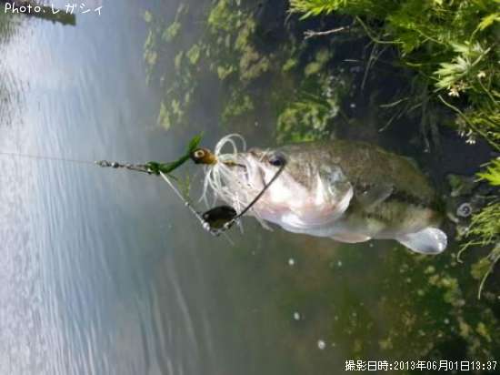 �֥�å��Х�