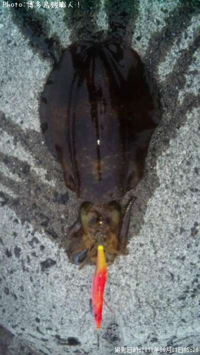 �����ꥤ��