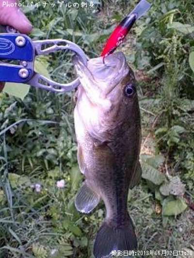 �֥�å��Х�